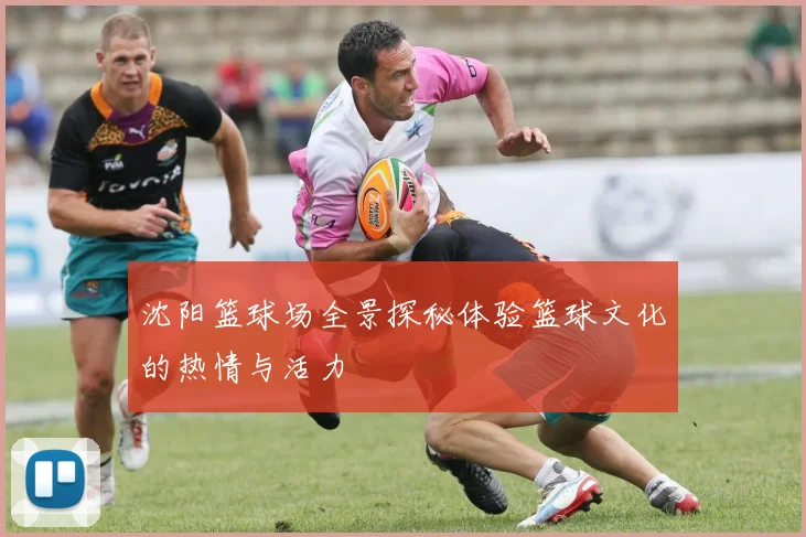 沈阳篮球场全景探秘体验篮球文化的热情与活力