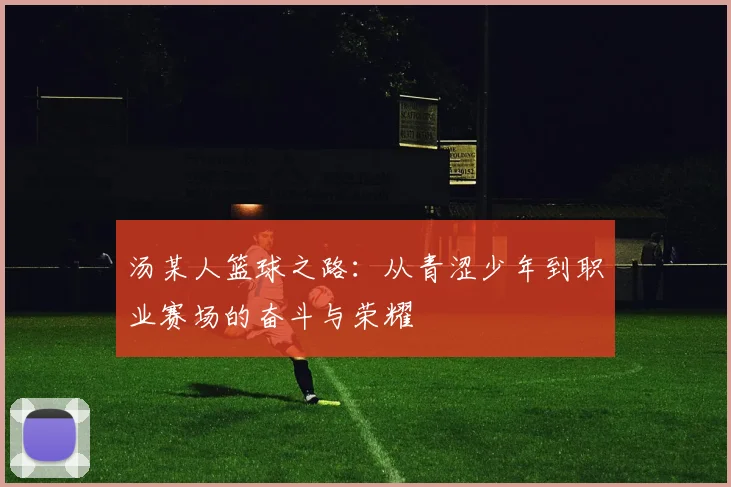 汤某人篮球之路：从青涩少年到职业赛场的奋斗与荣耀