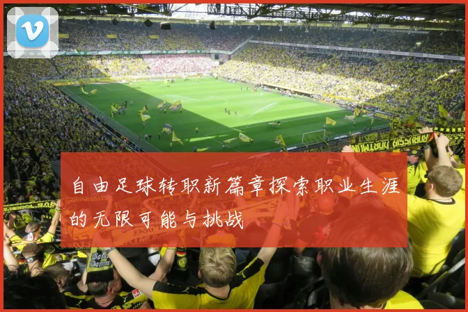 自由足球转职新篇章探索职业生涯的无限可能与挑战