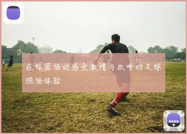 在绿茵场边感受激情与欢呼的足球现场体验