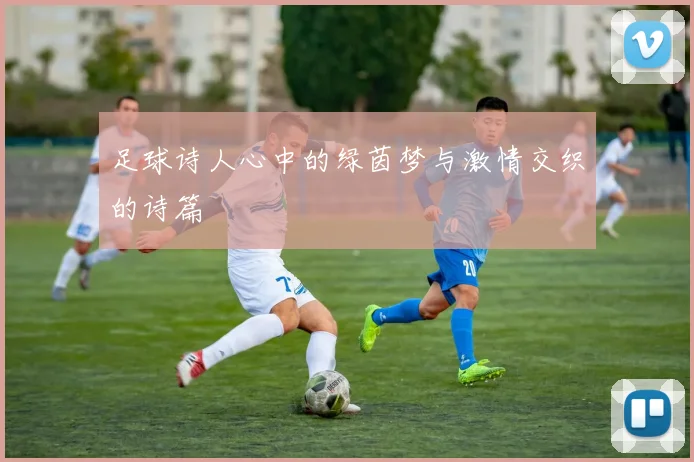 足球诗人心中的绿茵梦与激情交织的诗篇